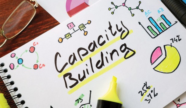 capacity-building
